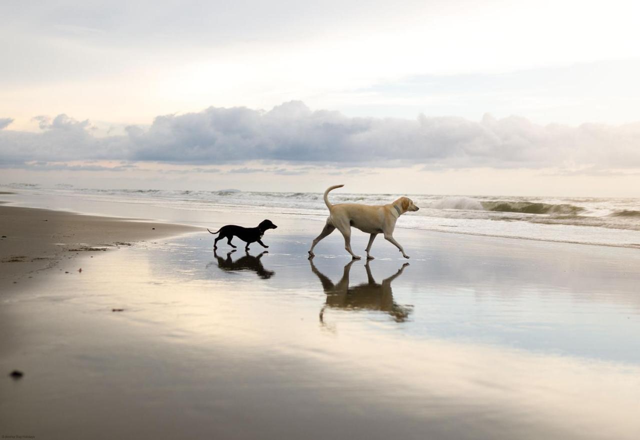 Azure Beach House Filey Bagian luar foto